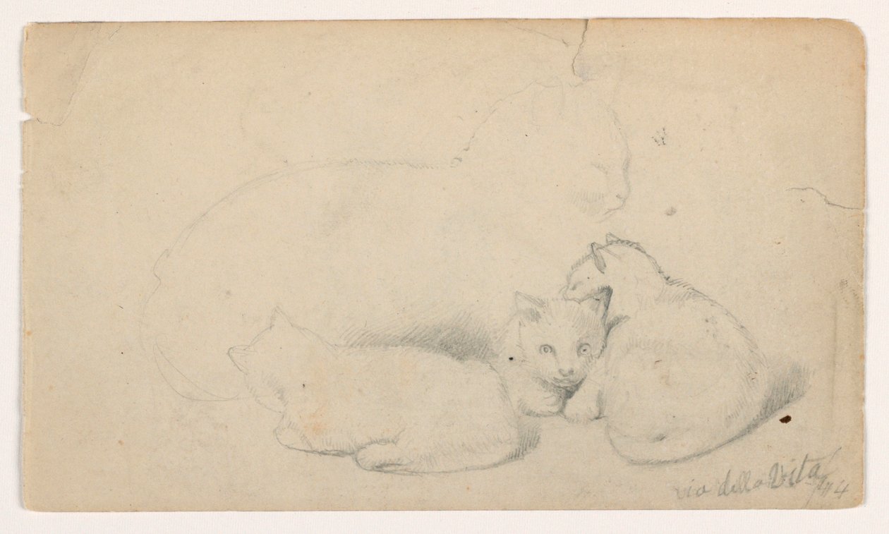 Desenho, Gato e três gatinhos; Verso: Homem árabe sentado a receber um homem, possivelmente segundo David Roberts, 1844 de Daniel Huntington