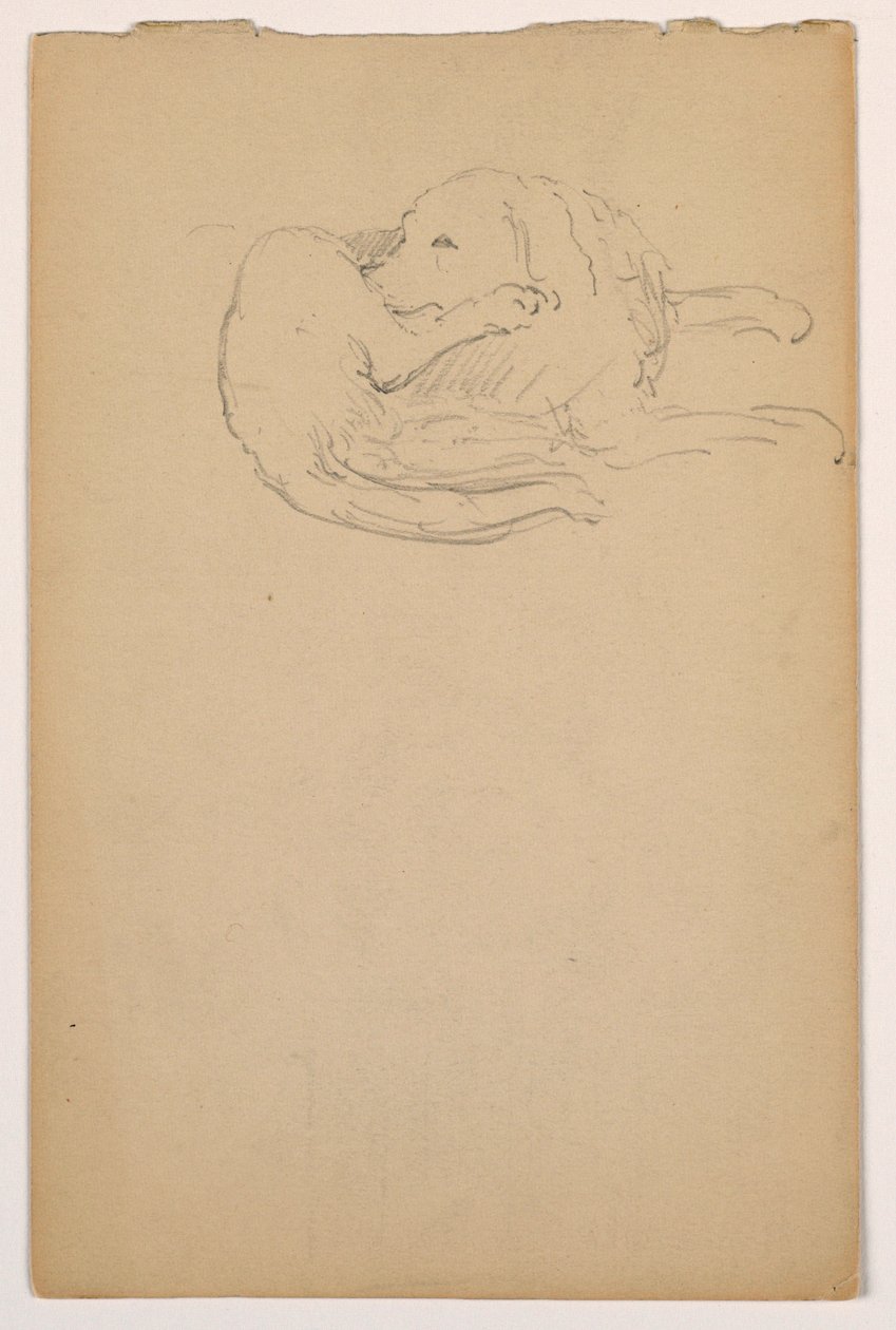 Desenho, Dash (um Setter), ca. 1862 de Daniel Huntington