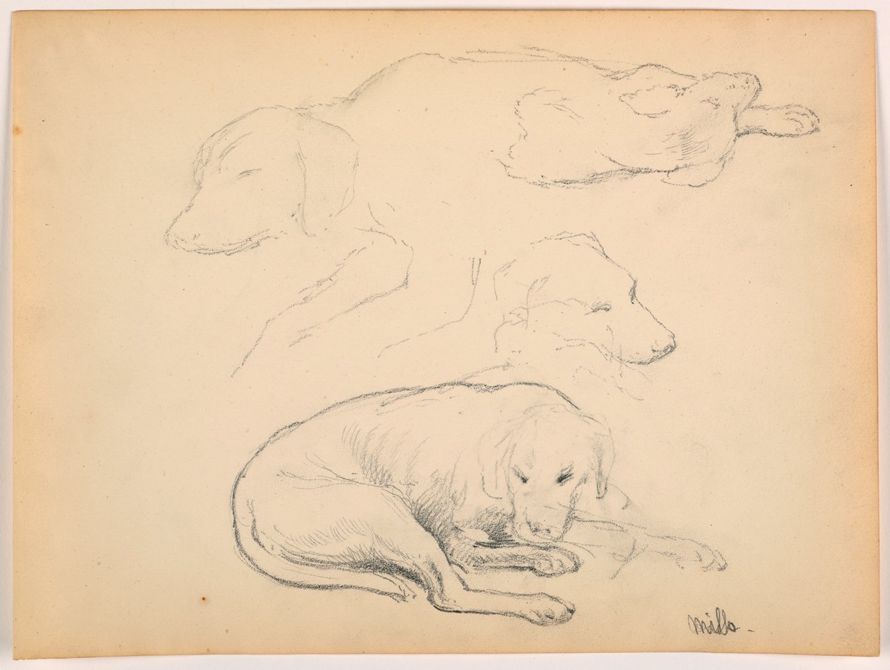 Desenho, Milo (um ponteiro), vários estudos, ca. 1862 de Daniel Huntington