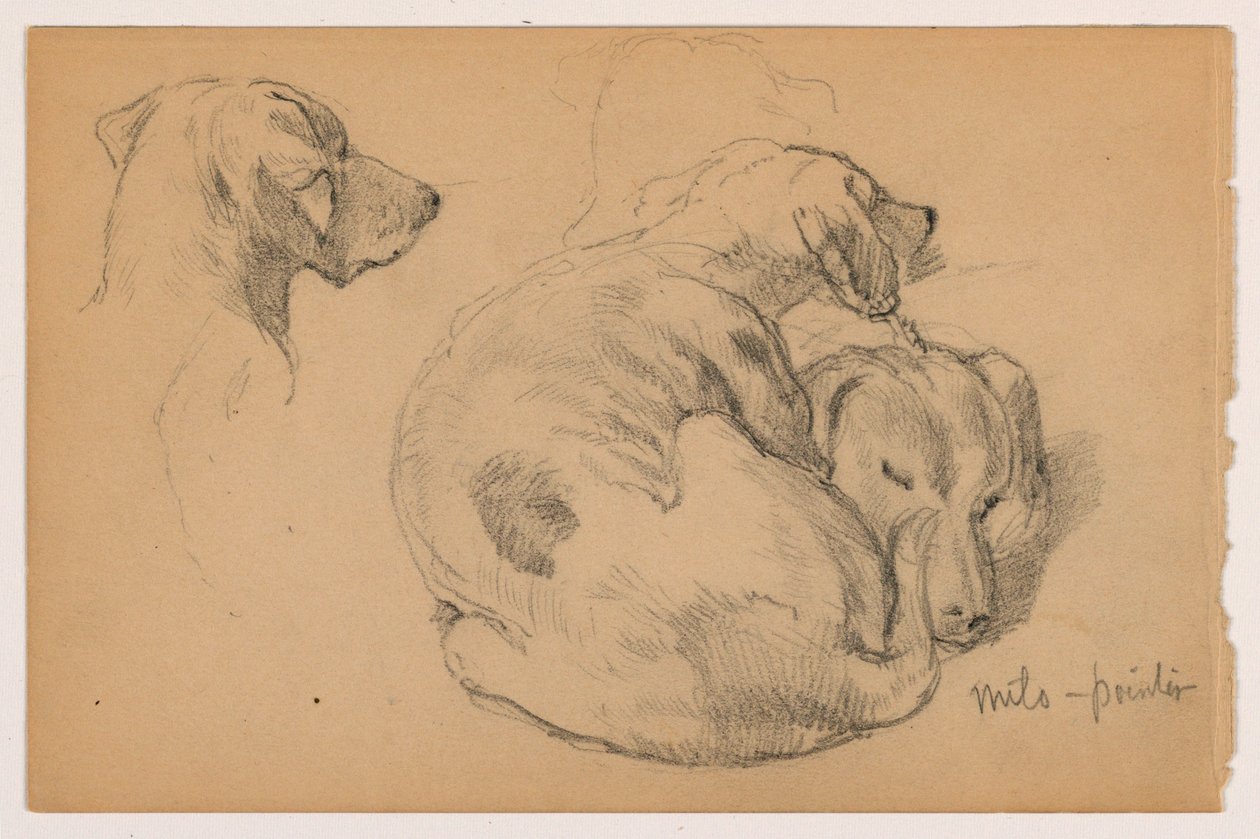 Desenho, Milo (um ponteiro) Três estudos, Milo (um ponteiro) Dois estudos, ca. 1862 de Daniel Huntington