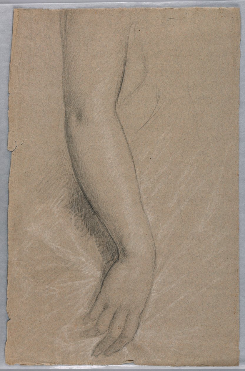 Desenho, Sra. Rutherford B Hayes, 1880 de Daniel Huntington