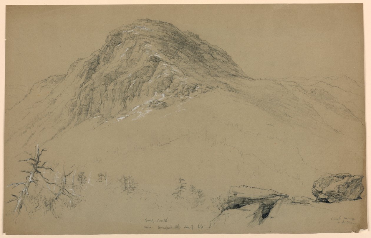 Olhando para o sul, Mount Mansfield, Vermont de Daniel Huntington