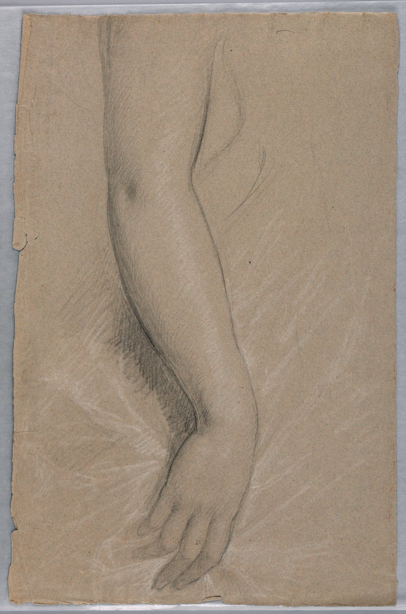 Estudo de um braço para retrato da Sra. Rutherford B. Hayes de Daniel Huntington