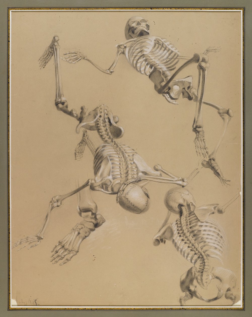 Estudo de esqueletos, 1848 (giz no papel) de Daniel Huntington