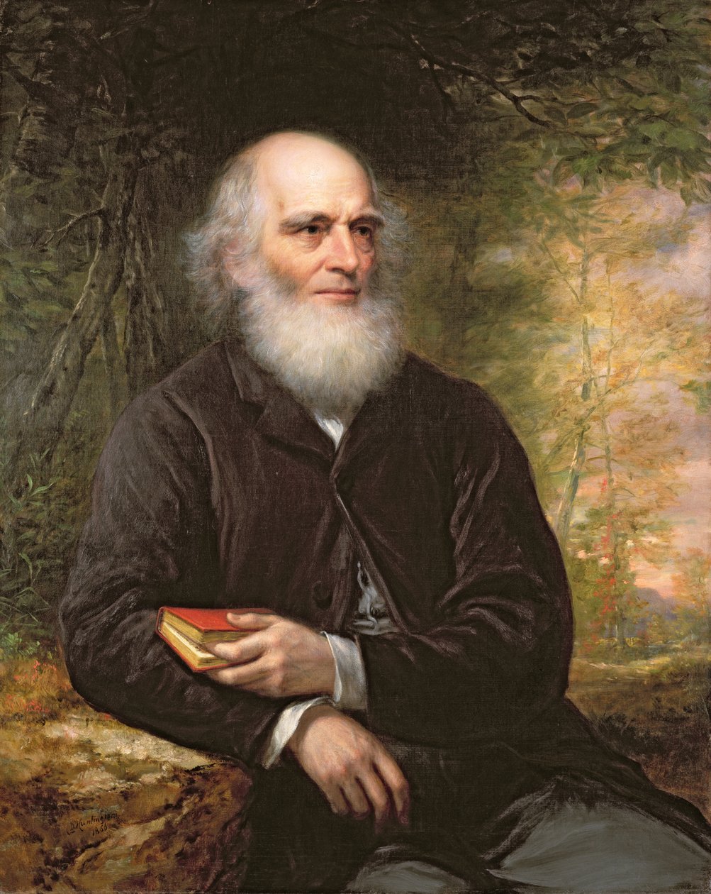 William Cullen Bryant (1794-1878) 1866 (óleo sobre tela) de Daniel Huntington