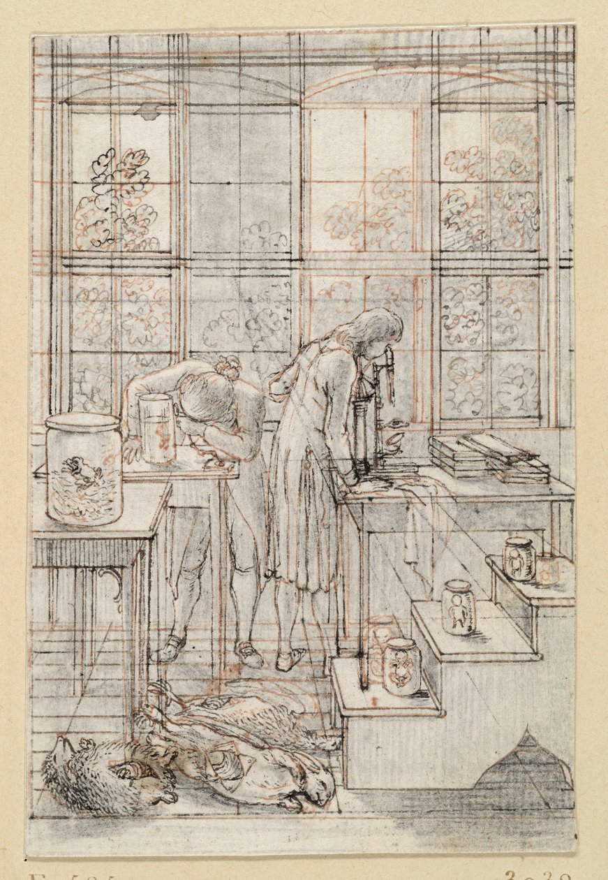 Ilustração da gravura da capa da obra «História Natural», de Blumenbach: Dois naturalistas a realizar exames microscópicos. E. 585 de Daniel Nikolaus Chodowiecki