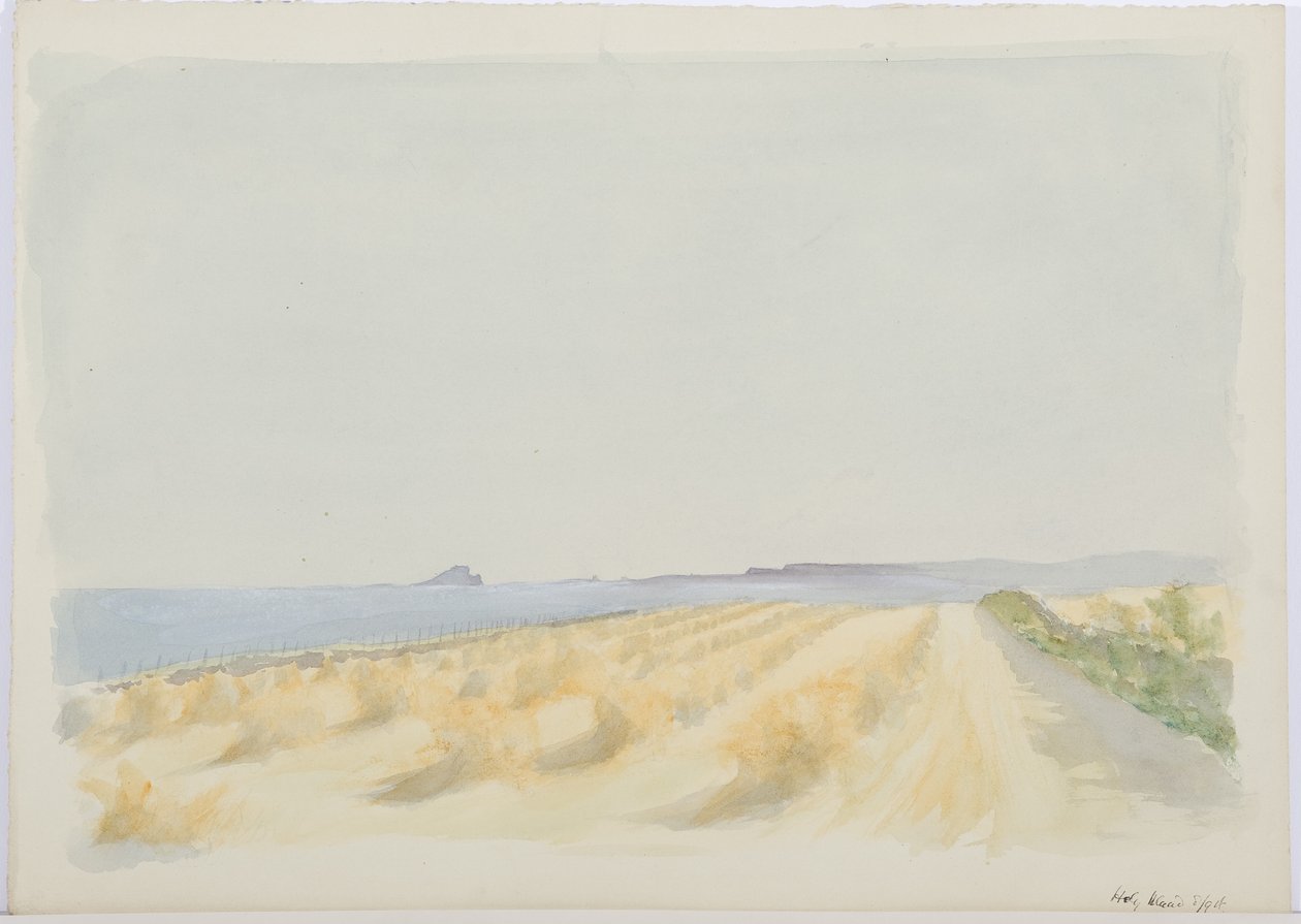 Holy Island, 1894 (lápis e wc no papel) de Daniel Oliver