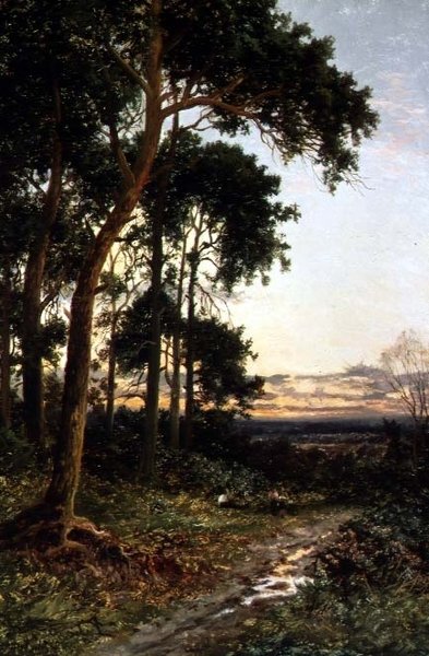 O Caminho da Floresta de Daniel Sherrin