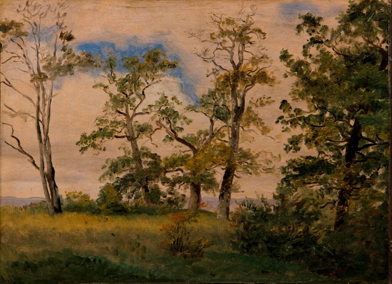 Paisagem com árvores free-standing de Dankvart Dreyer