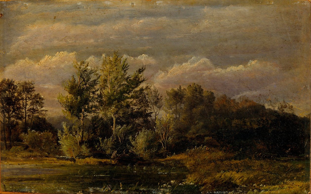 Um lago de floresta rodeado de bétulas. Estudo. de Dankvart Dreyer