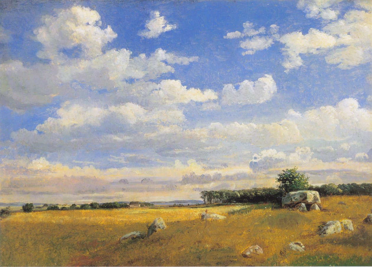 Anta em Brandsø de Dankvart Dreyer