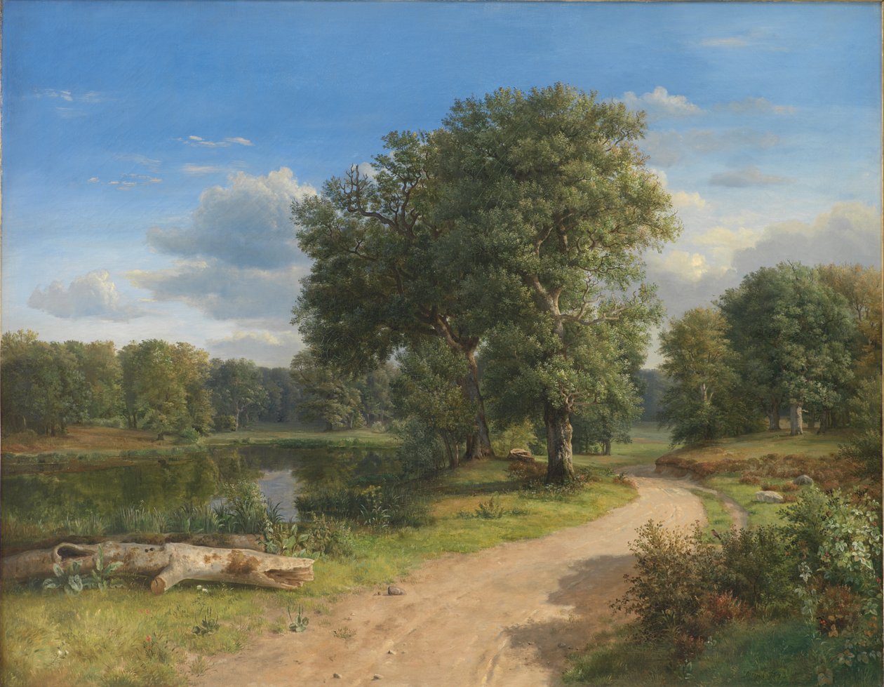 Paisagem perto de Hammermøllen, norte da Zelândia de Dankvart Dreyer