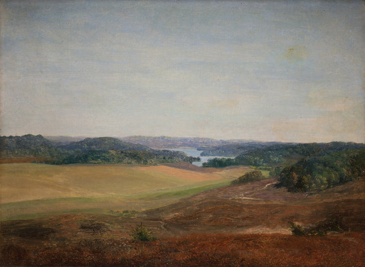 Paisagem perto de Silkeborg, Jutlândia de Dankvart Dreyer