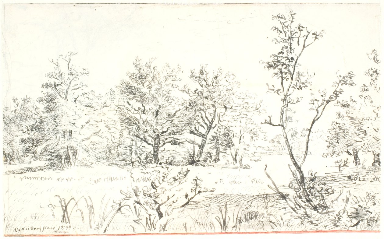 Paisagem com floresta e prado de Dankvart Dreyer