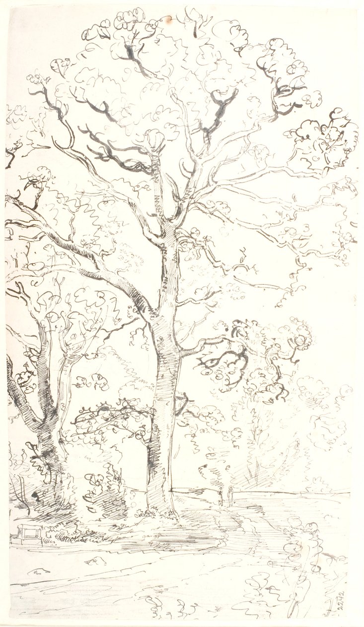 Estudo de carvalhos de Dankvart Dreyer