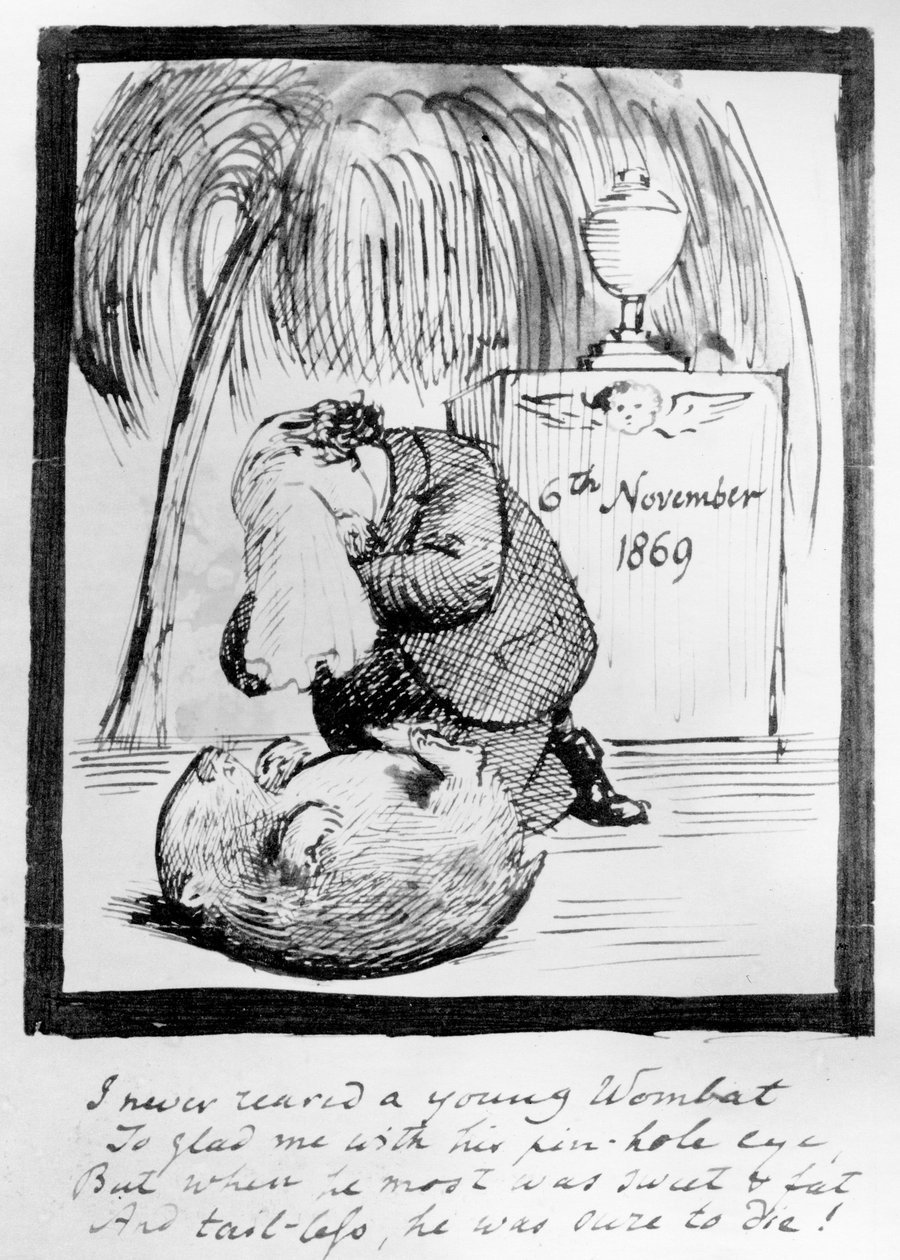 Rossetti lamentando a morte de seu Wombat, 1869 (caneta e tinta no papel) de Dante Gabriel Charles Rossetti