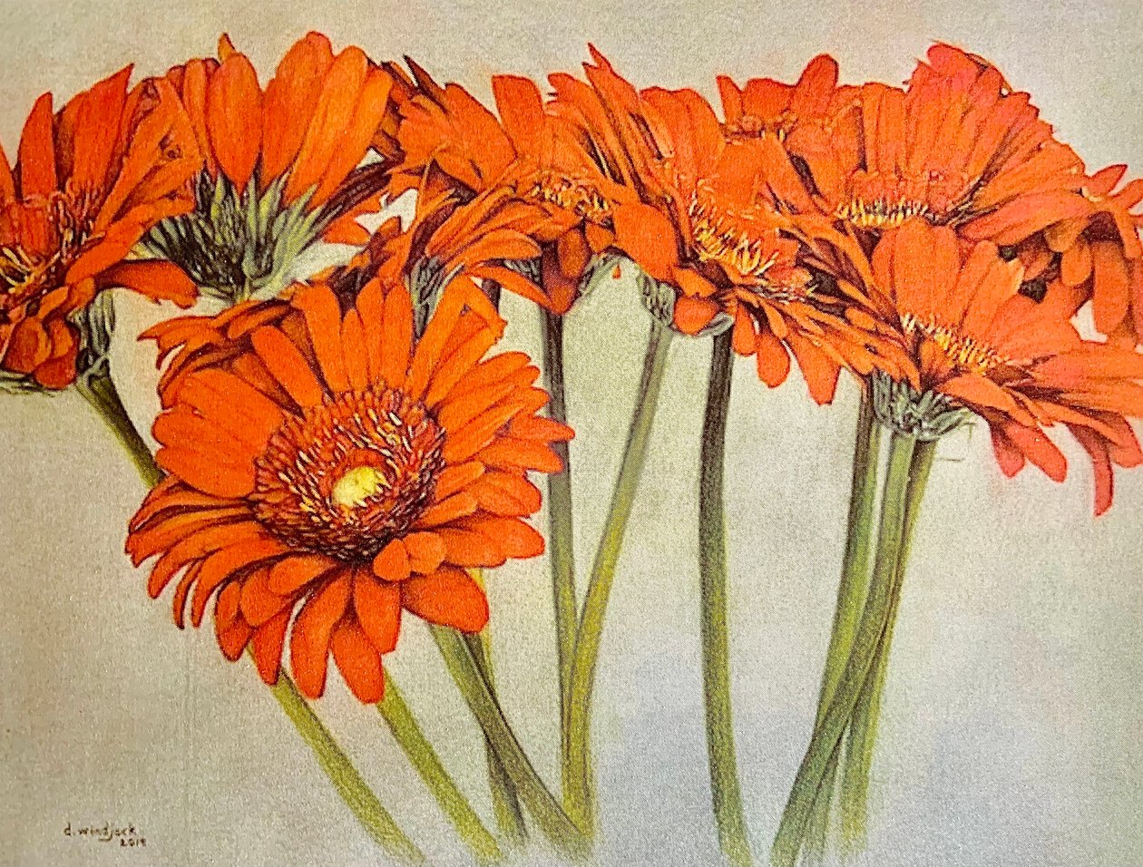 Orange Burst, 2019 (lápis, acrílico sobre papel) de Darrell Windjack