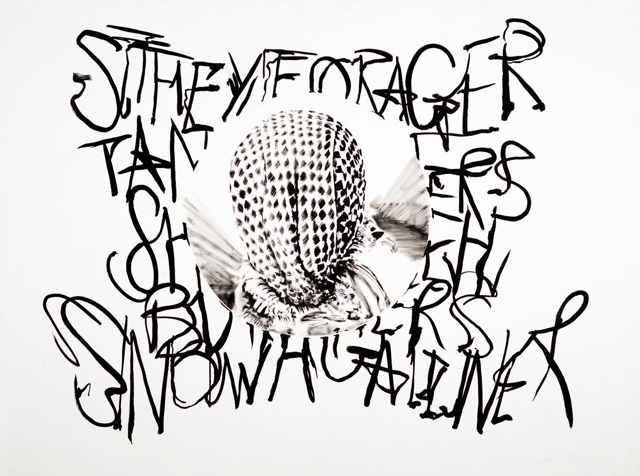 Lansdcape, 2003 (tinta sobre papel) de Darren Coffield