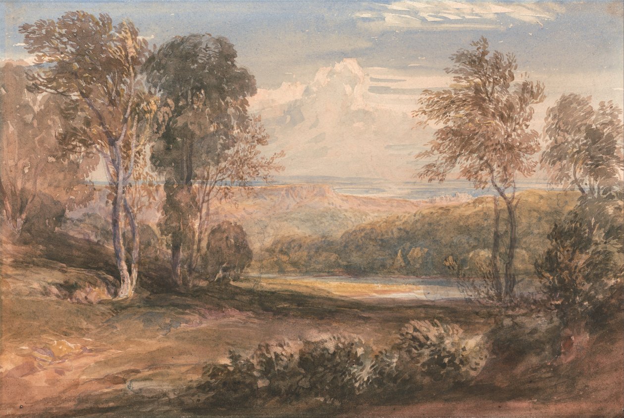 No wye de David Cox