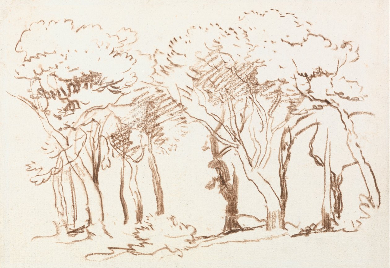 Estudo de Árvores de David Cox