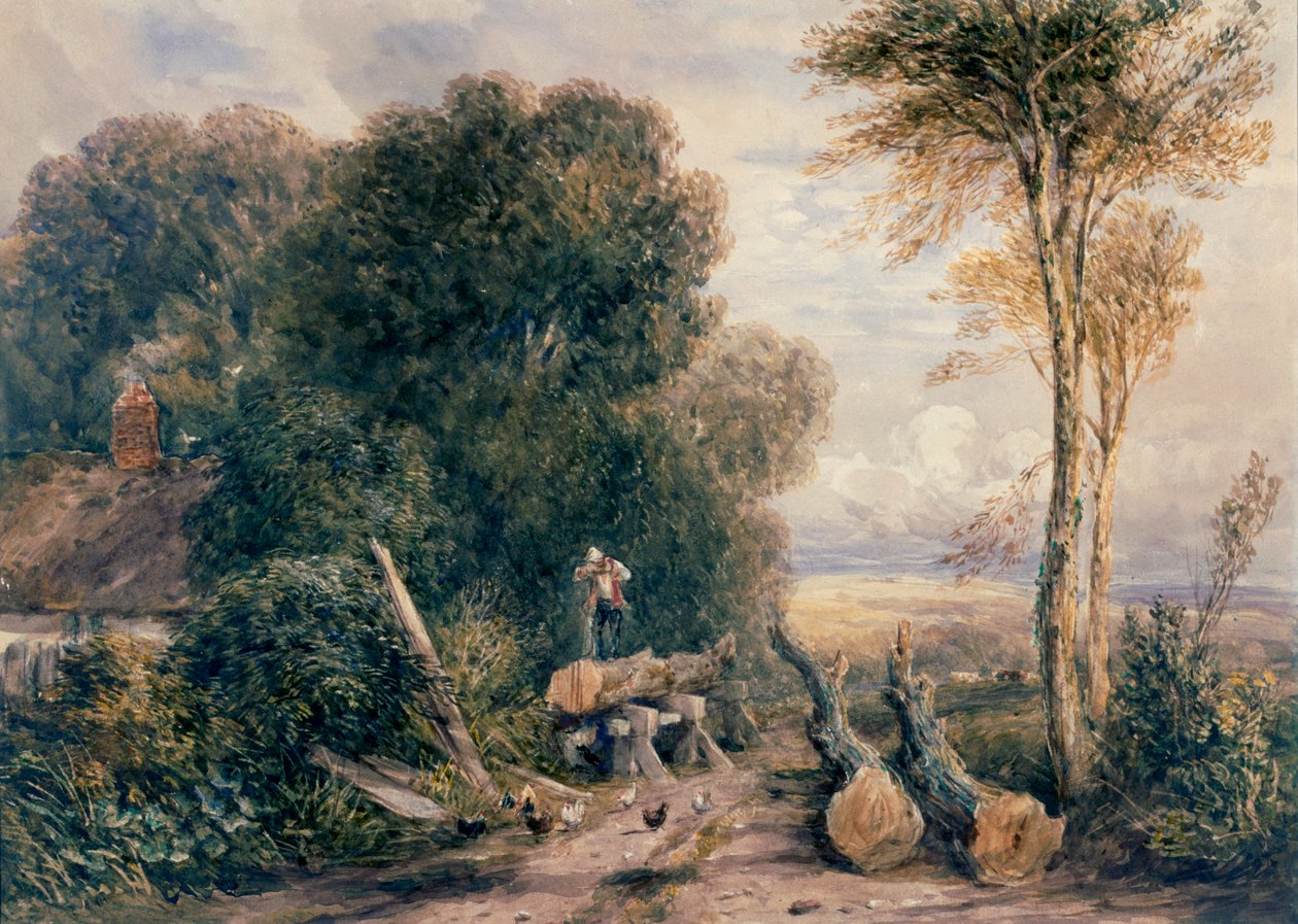 O poço da serra de David Cox