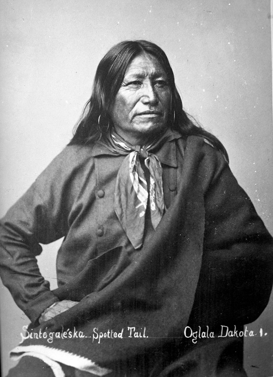 Sintegaleska, cauda manchada, Oglala Dakota I, de 1880 de David Frances Barry