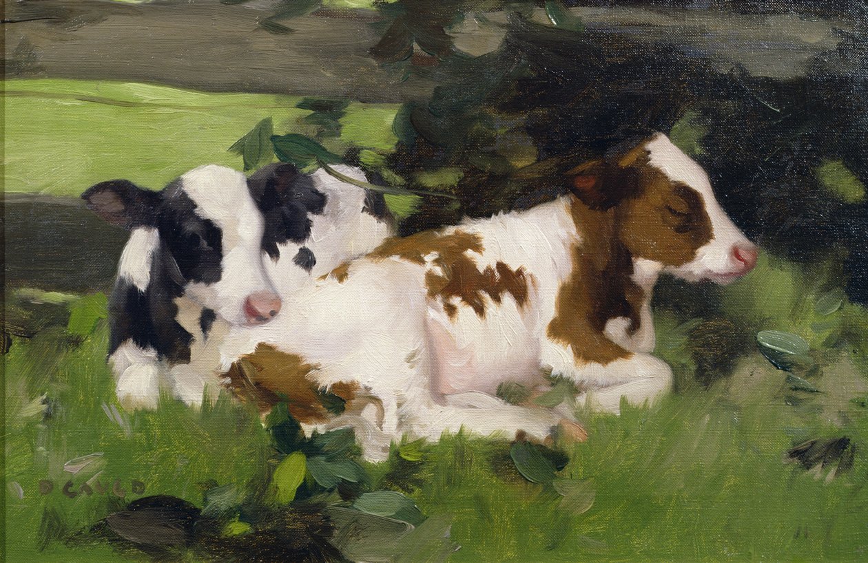 Bezerros de Ayrshire, c.1890 de David Gauld