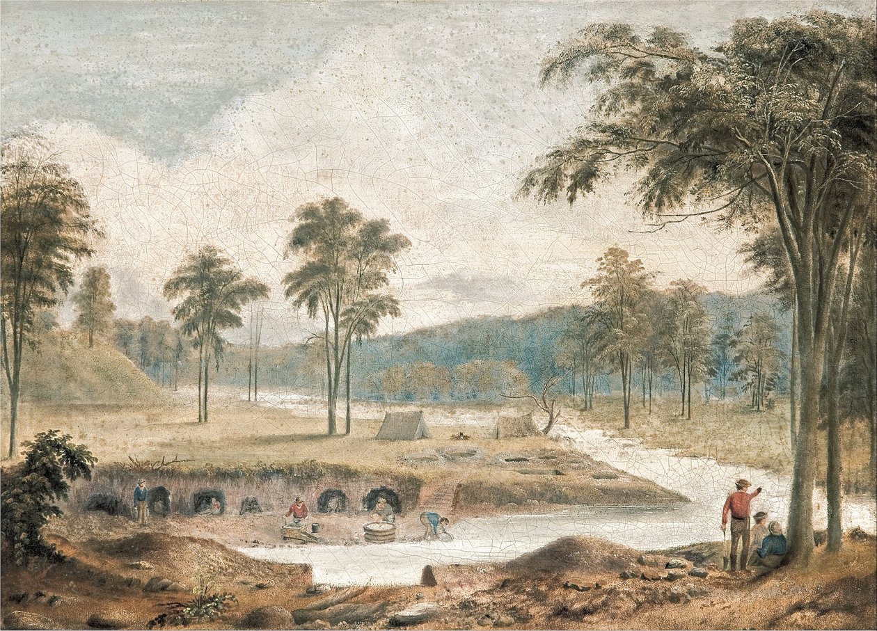 Escavação de ouro de David Tulloch