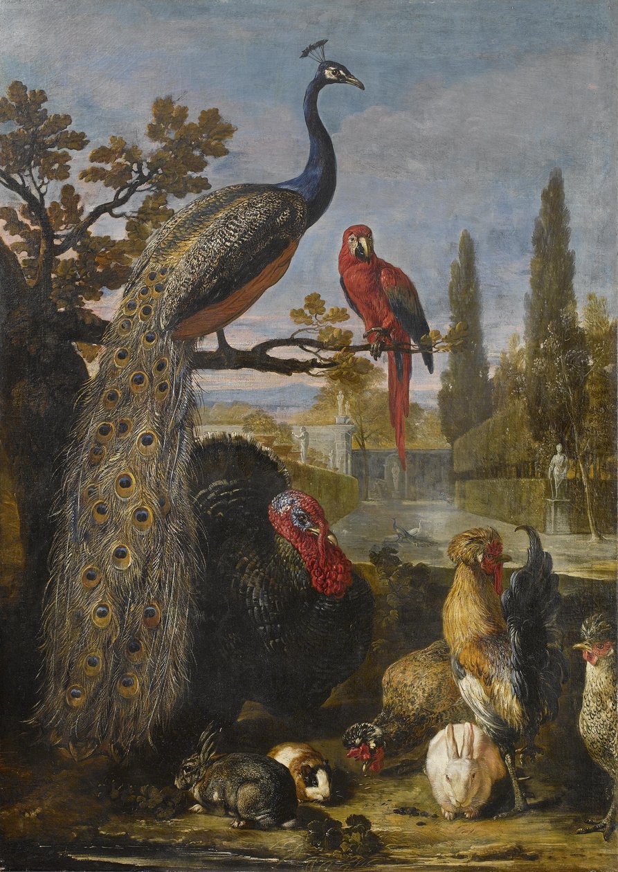 Um pavão, um papagaio, um peru, galos, coelhos e uma cobaia em uma paisagem do parque de David de Coninck