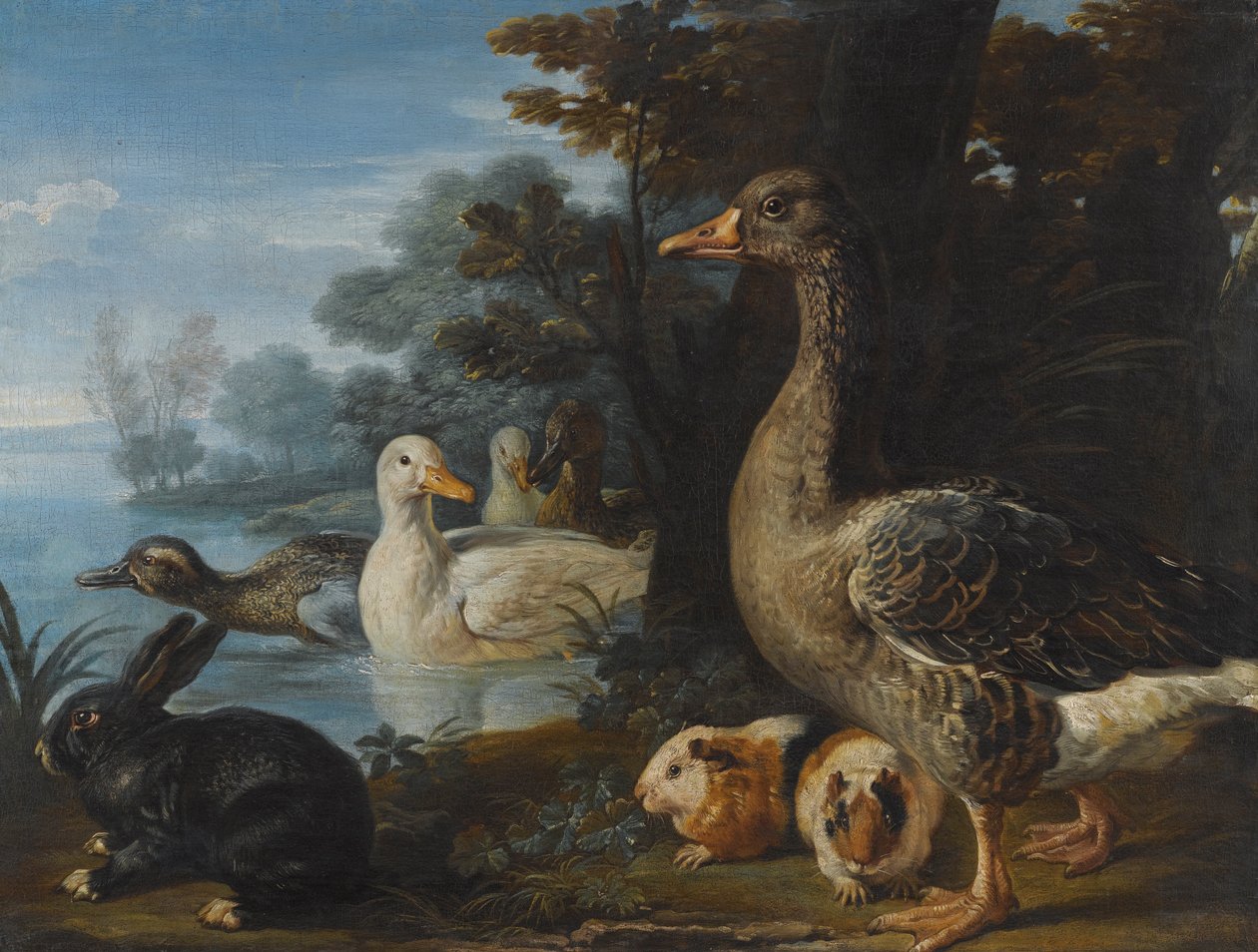 Patos, um ganso, cobaia e um coelho em uma paisagem arborizada por um lago de David de Coninck