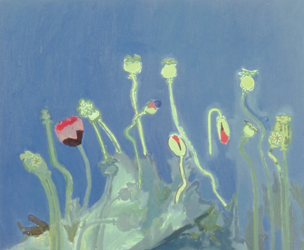Poppyheads (óleo sobre tela) de David Alan Redpath Michie
