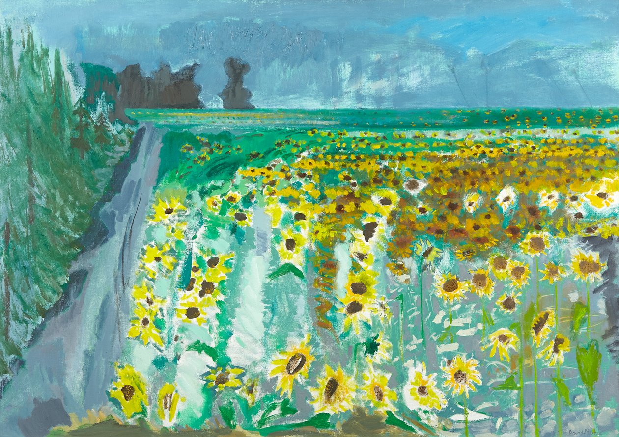 Girassóis e Mistral, 2002 (óleo sobre tela) de David Alan Redpath Michie