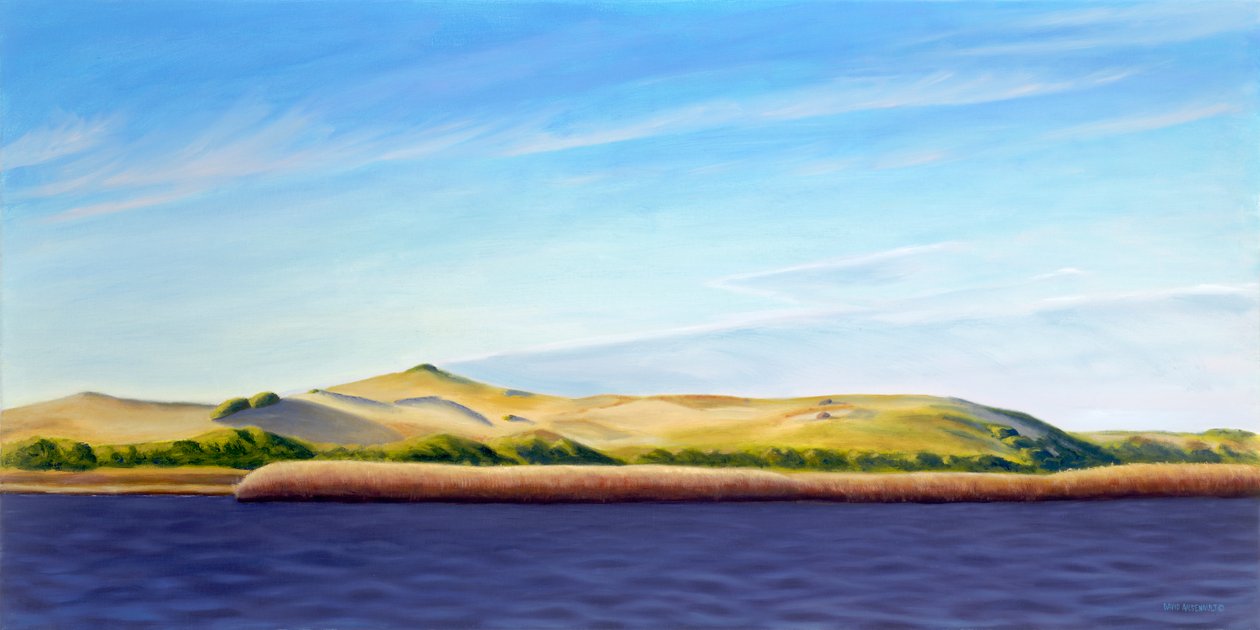 Entrando nas Províncias, 2013 (óleo sobre tela) de David Arsenault