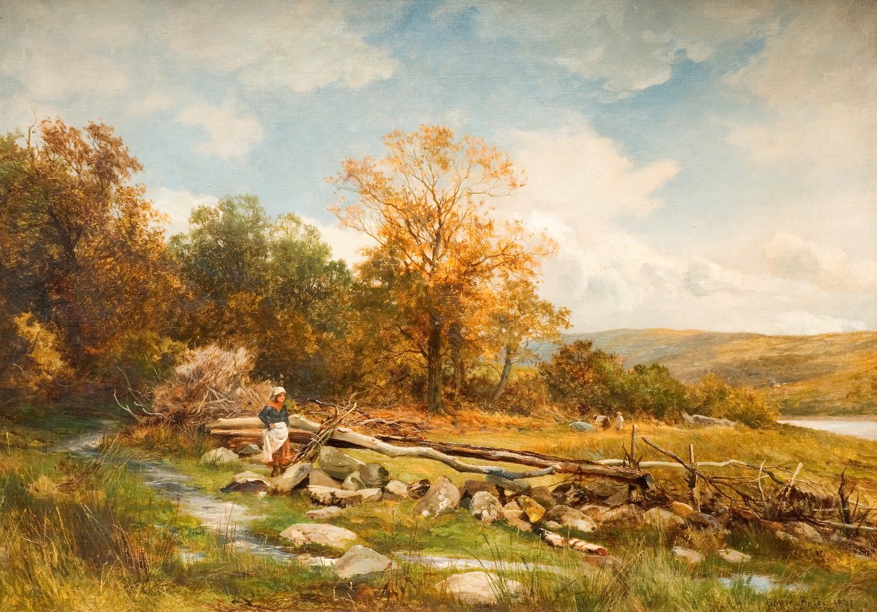 Cerca de maré no rio Conwy em Bachlediog, 1891 99 rio; Conwy; Conway; Cerca de maré; barreira; bachlediog; Afon Conwy; Conway; panorama; País de Gales; Galês; outono; outonal; de David Bates