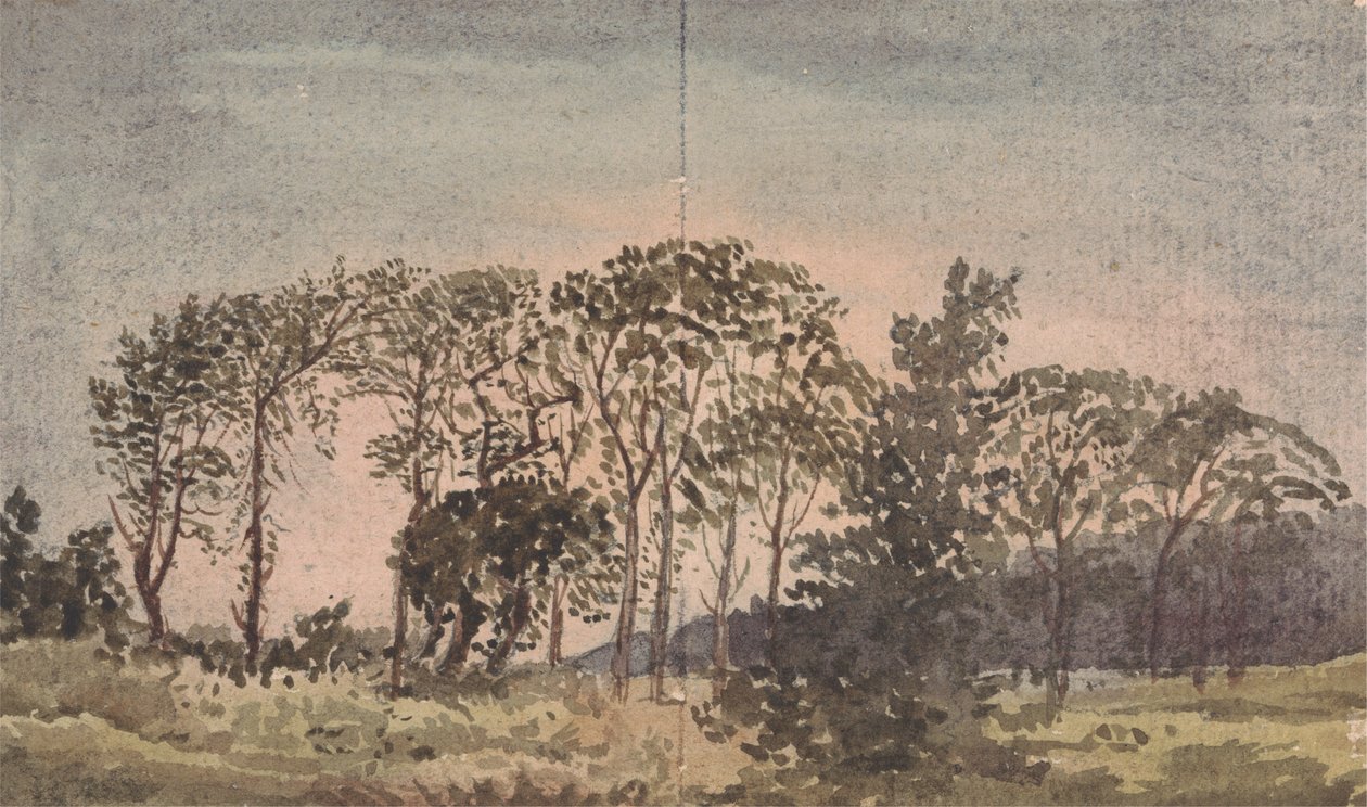 Paisagem com árvores de David Charles Read