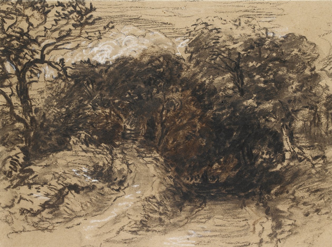 Uma pista oca perto de Harborne, Derbyshire (giz preto com toques de branco e alguma lavagem marrom) de David Cox