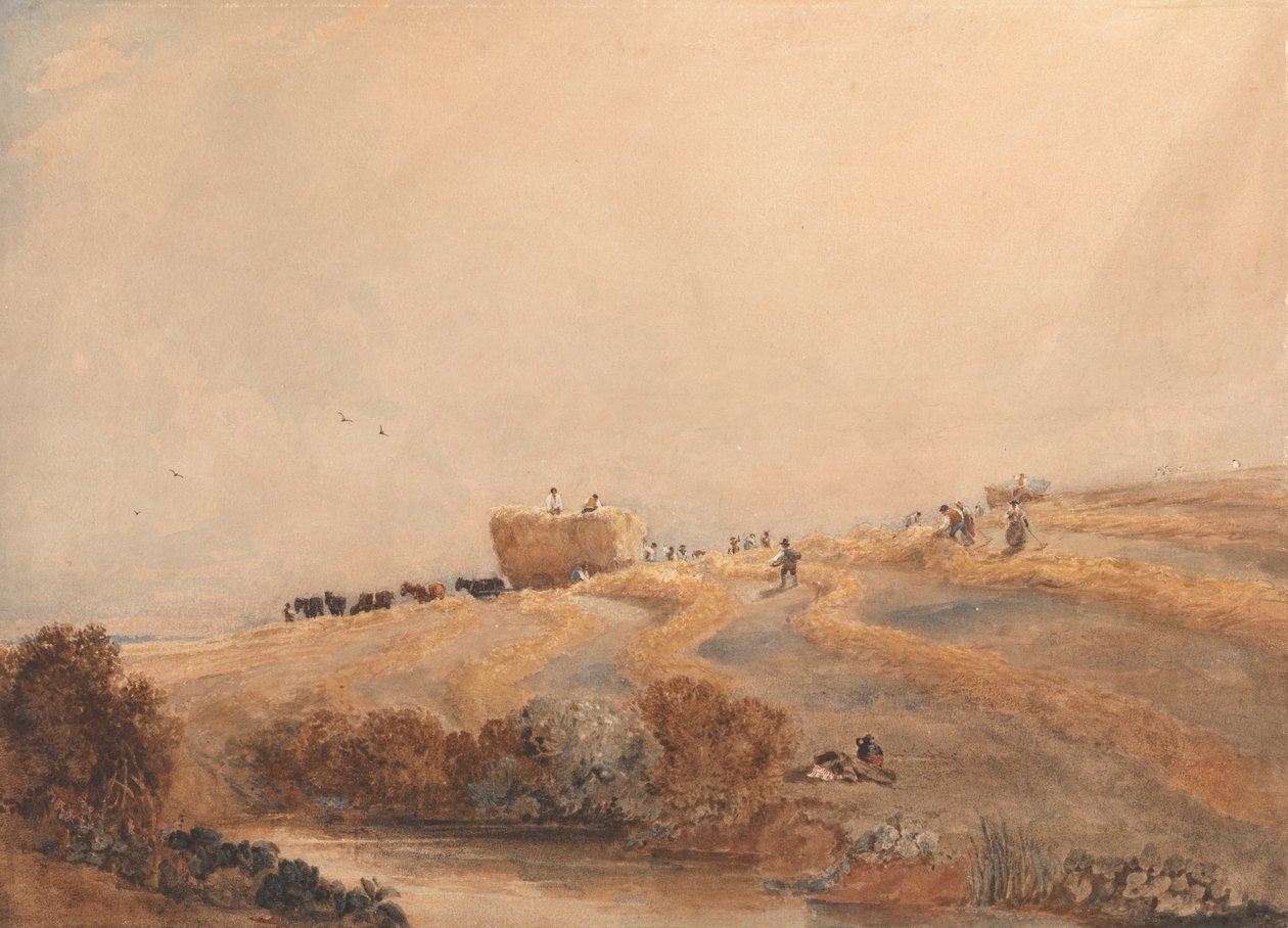Produção de feno de David Cox