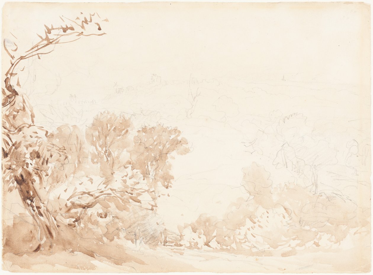 Encosta e árvores de David Cox