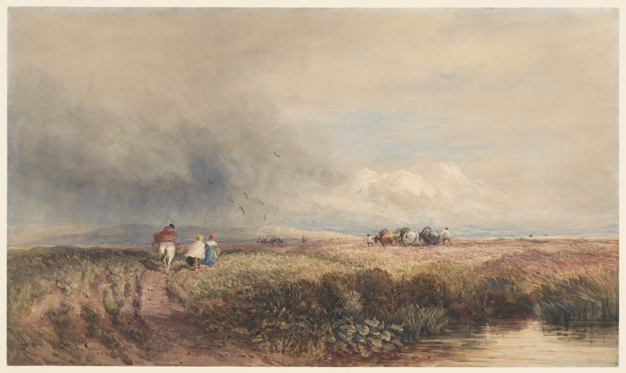 Viagem de regresso a casa de David Cox