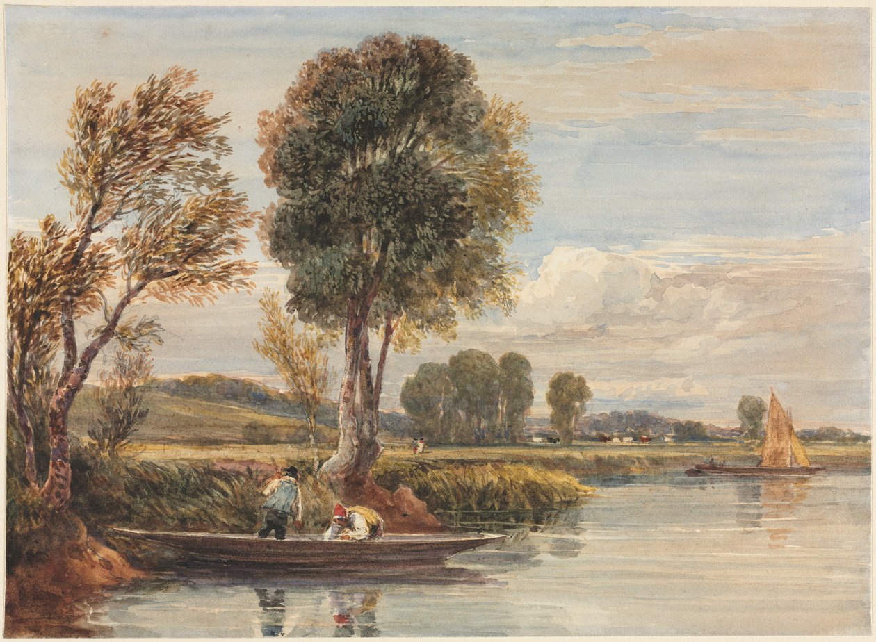 No Tamisa de David Cox
