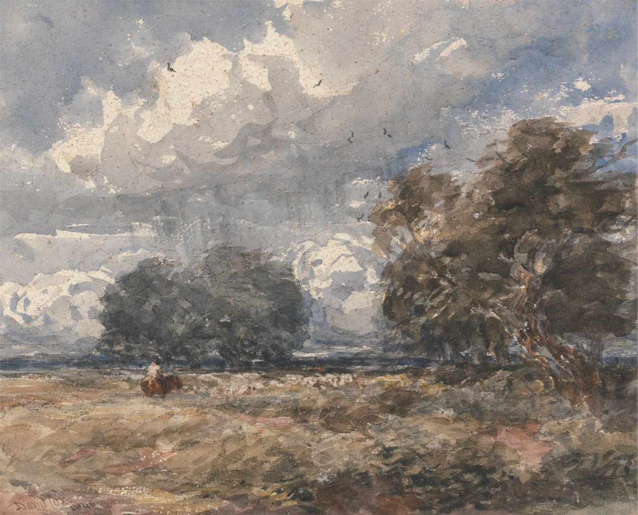 Pastoreando o Rebanho, Dia Ventoso de David Cox