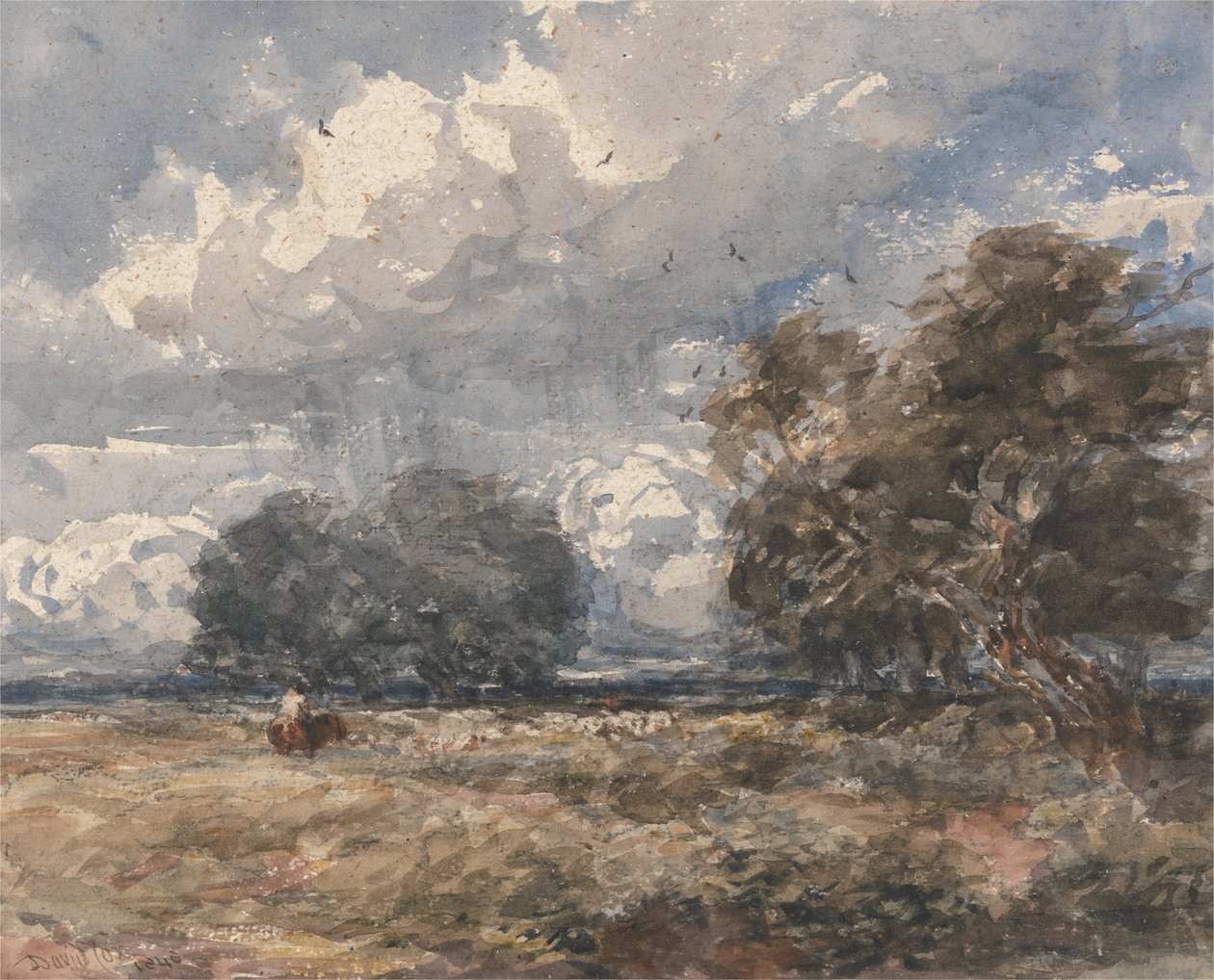 Pastorear o rebanho, dia de vento de David Cox
