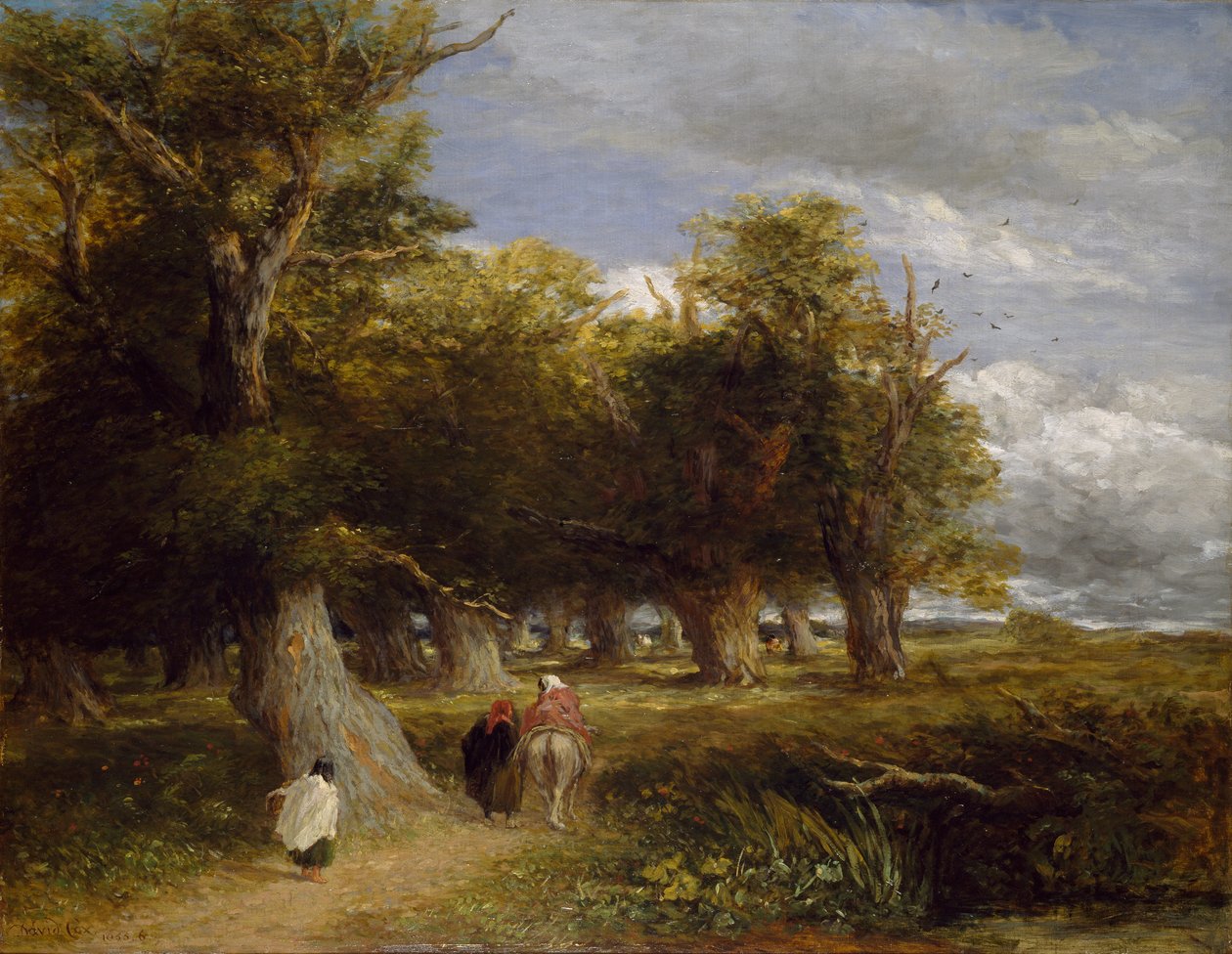 Saias da floresta, 1855 de David Cox