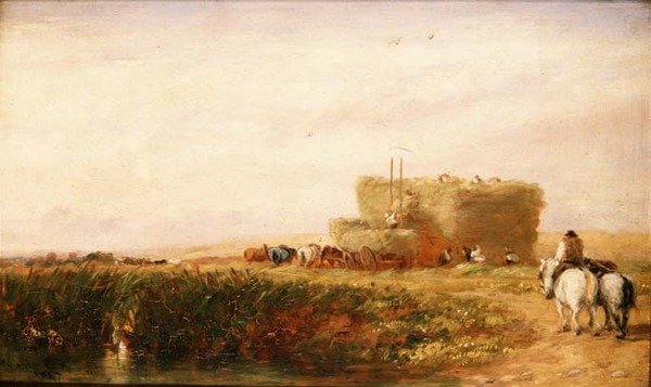 O Hayfield de David Cox