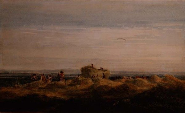O Hayfield de David Cox