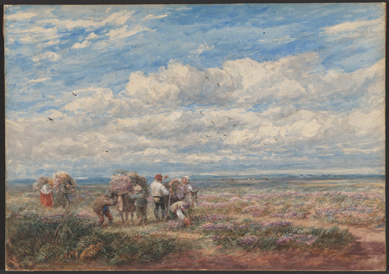 Os apanhadores de urze ou giesta de David Cox