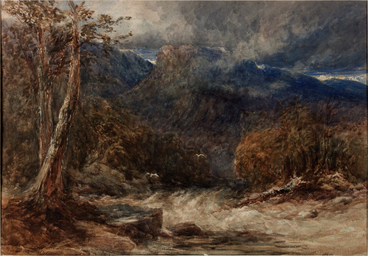 O Encontro das Águas de David Cox