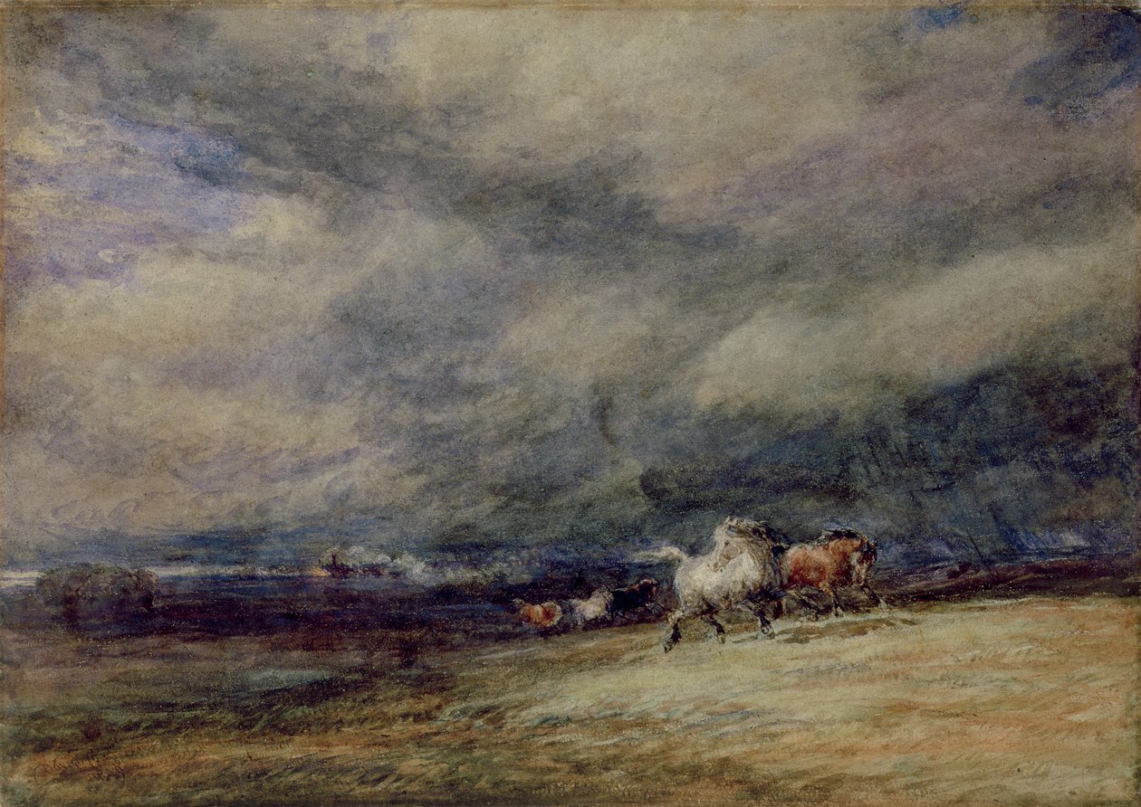 O Trem da Noite de David Cox