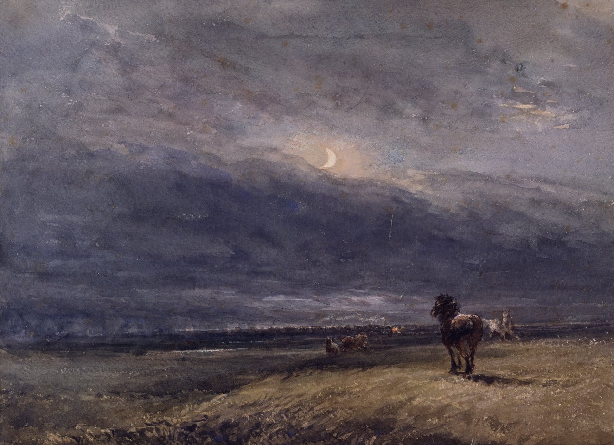 O trem noturno de David Cox