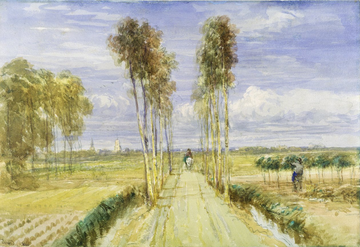 The Poplar Avenue (aquarela sobre lápis e giz preto no papel) de David Cox